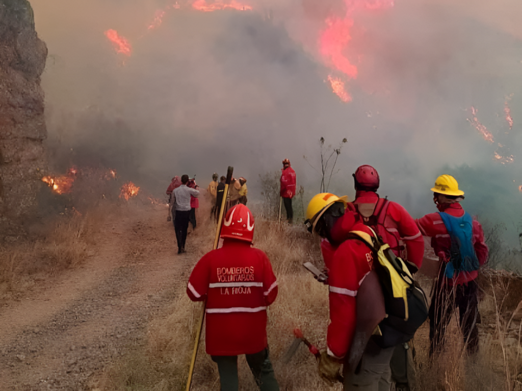 La Rioja perdió 70 mil hectáreas de bosque nativo en 10 años