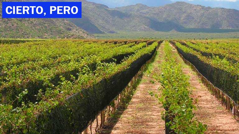 Las exportaciones de vino cayeron un 13,7% en abril, pero La Rioja exportó un 60,9% más